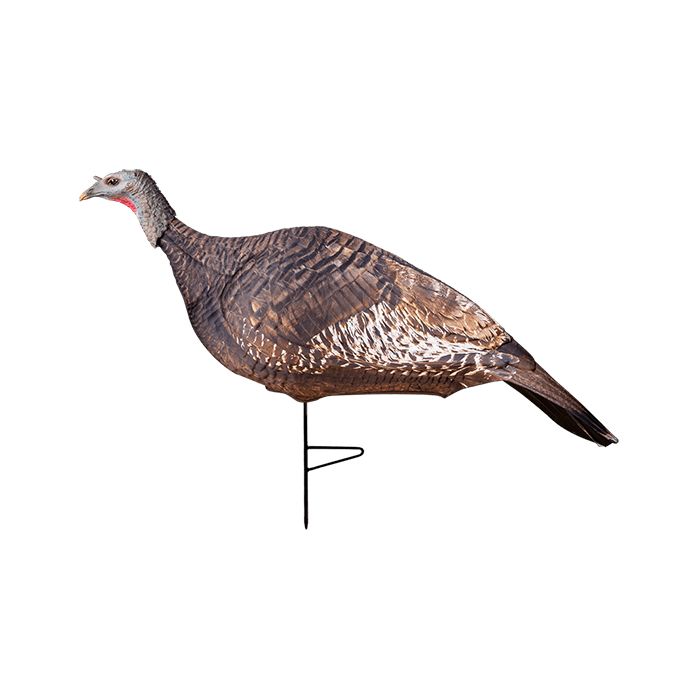 PRIM69068 Image 1 PRIM69068 Image 1