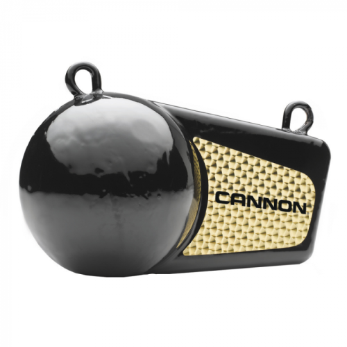 Cannon_6lb_Flash_Weight
