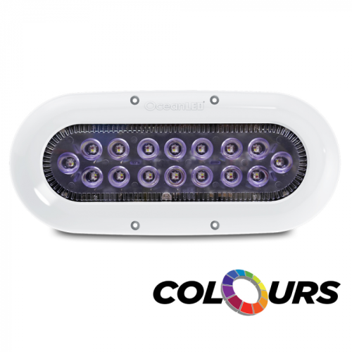 Ocean_LED_X_Series_X16___Colours_LEDs