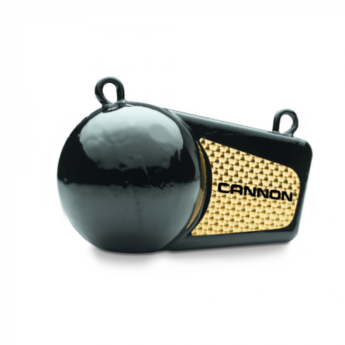 Cannon_16_LB_Flash_Weight