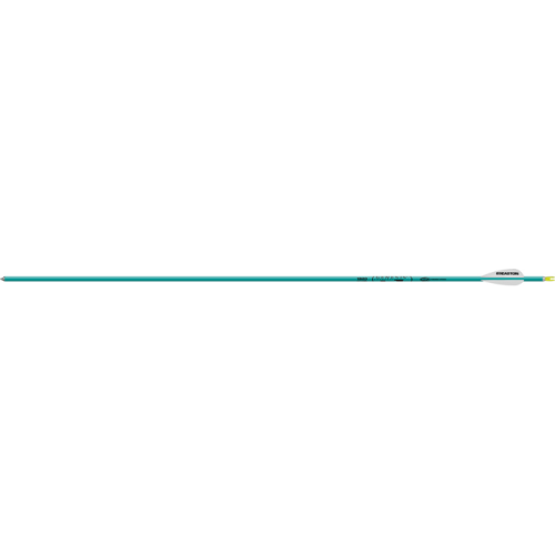 Easton_Genesis_Arrows_Teal_1820_6_pk_