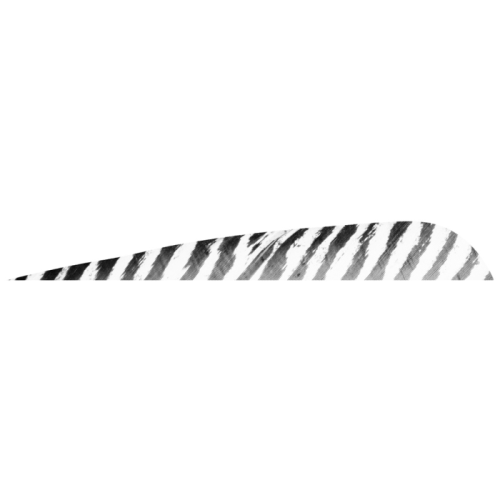 Gateway_Barred_Feathers_White_5_in__RW_50_pk_