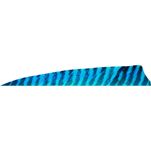Gateway_Shield_Cut_Feathers_Barred_Blue_4_in__LW_50_pk_
