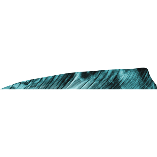 Gateway_Shield_Cut_Feathers_Tre_Blue_4_in__RW_50_pk_