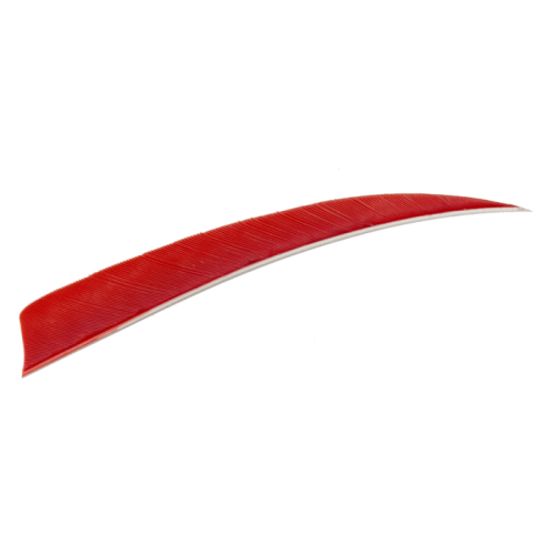 Trueflight_Shield_Cut_Feathers_Red_5_in__LW_100_pk_