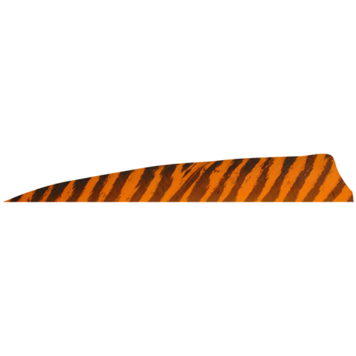 Gateway_Shield_Cut_Feathers_Barred_Orange_4_in__RW_100_Pk_