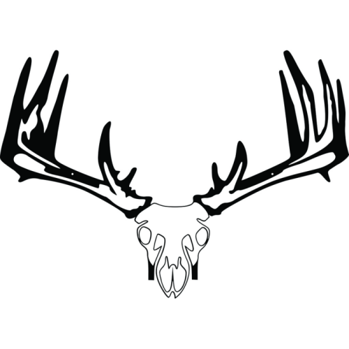 Raxx_Crossbow_Hanger_Whitetail_Skull