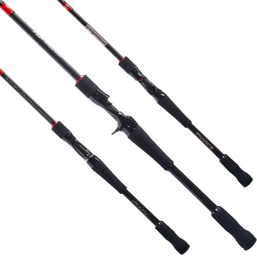 Pro Series Casting Rod