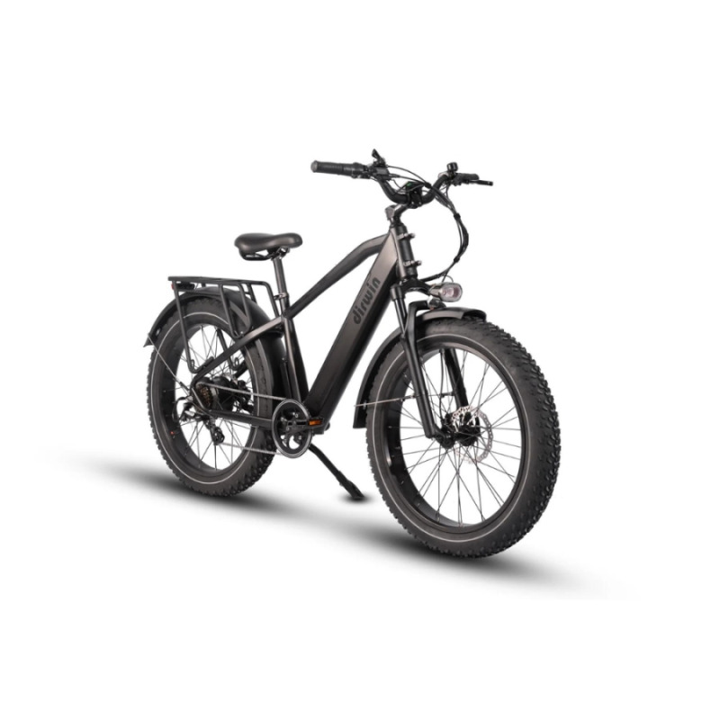 Pioneer Fat Tire Electric Bike by Dirwin Bike