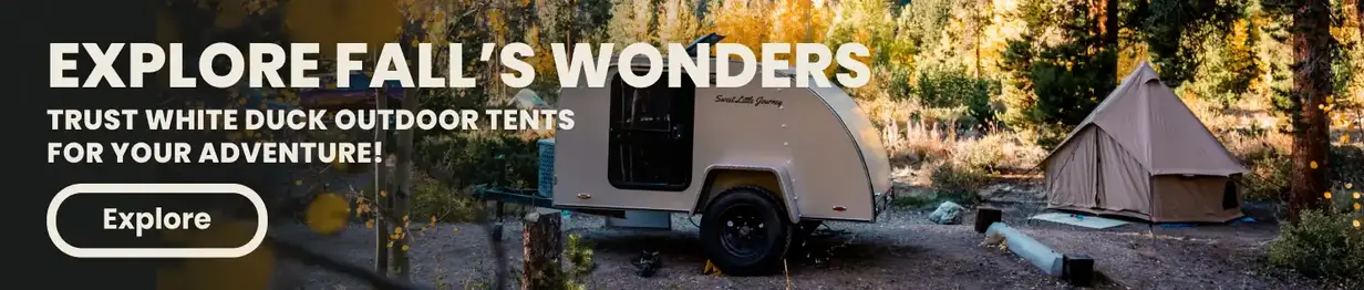 Explore The Wild