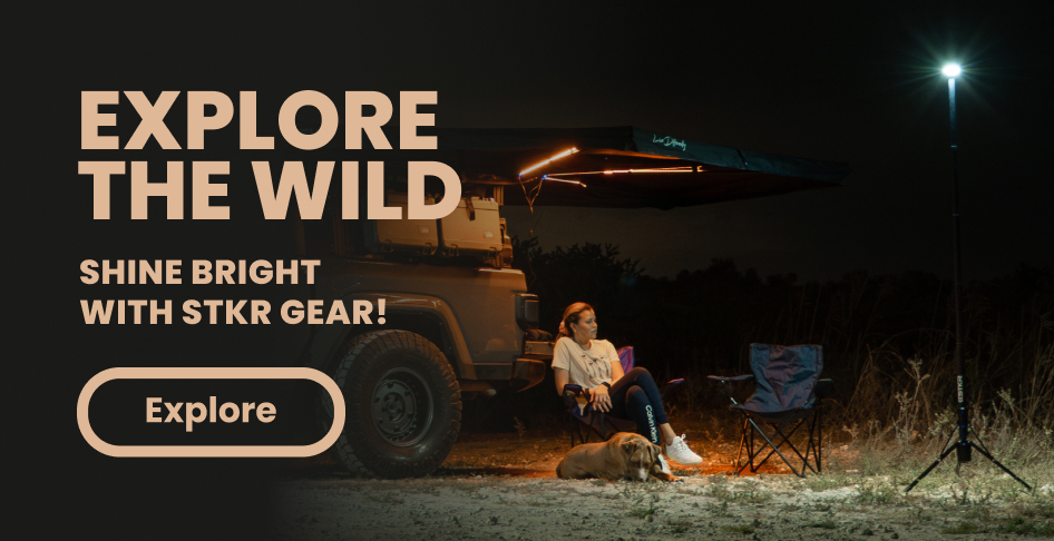 Explore The Wild